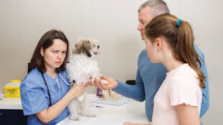 Provocările zilnice în clinica veterinară